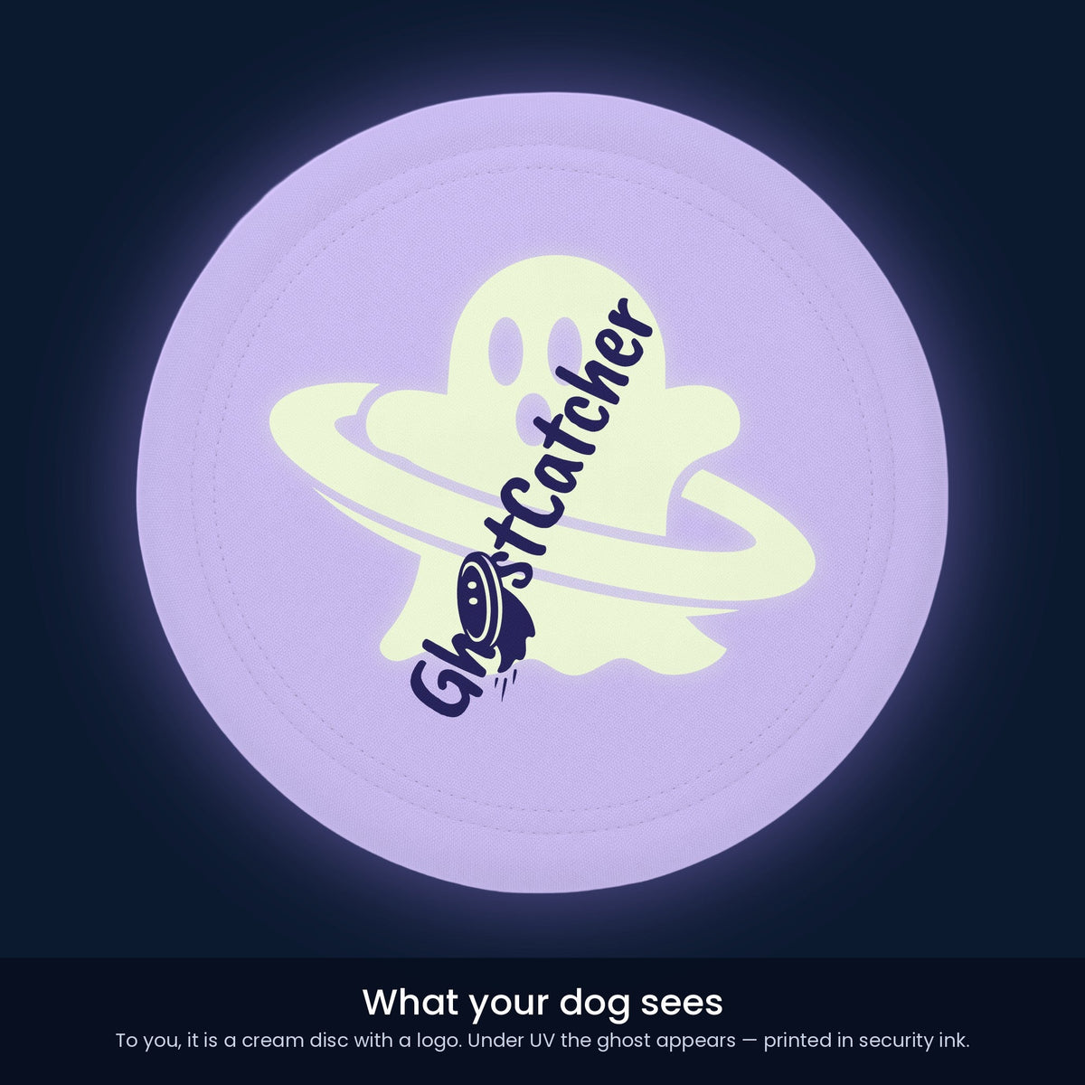 Hidden UV ghost glowing behind the GhostCatcher logo, simulated dog's-eye view