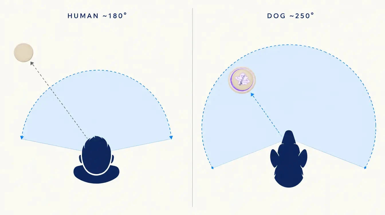 Top-down diagram comparing a human 180-degree field of view with a dog's much wider field, the GHOSTCATCHER disc visible only inside the dog's field