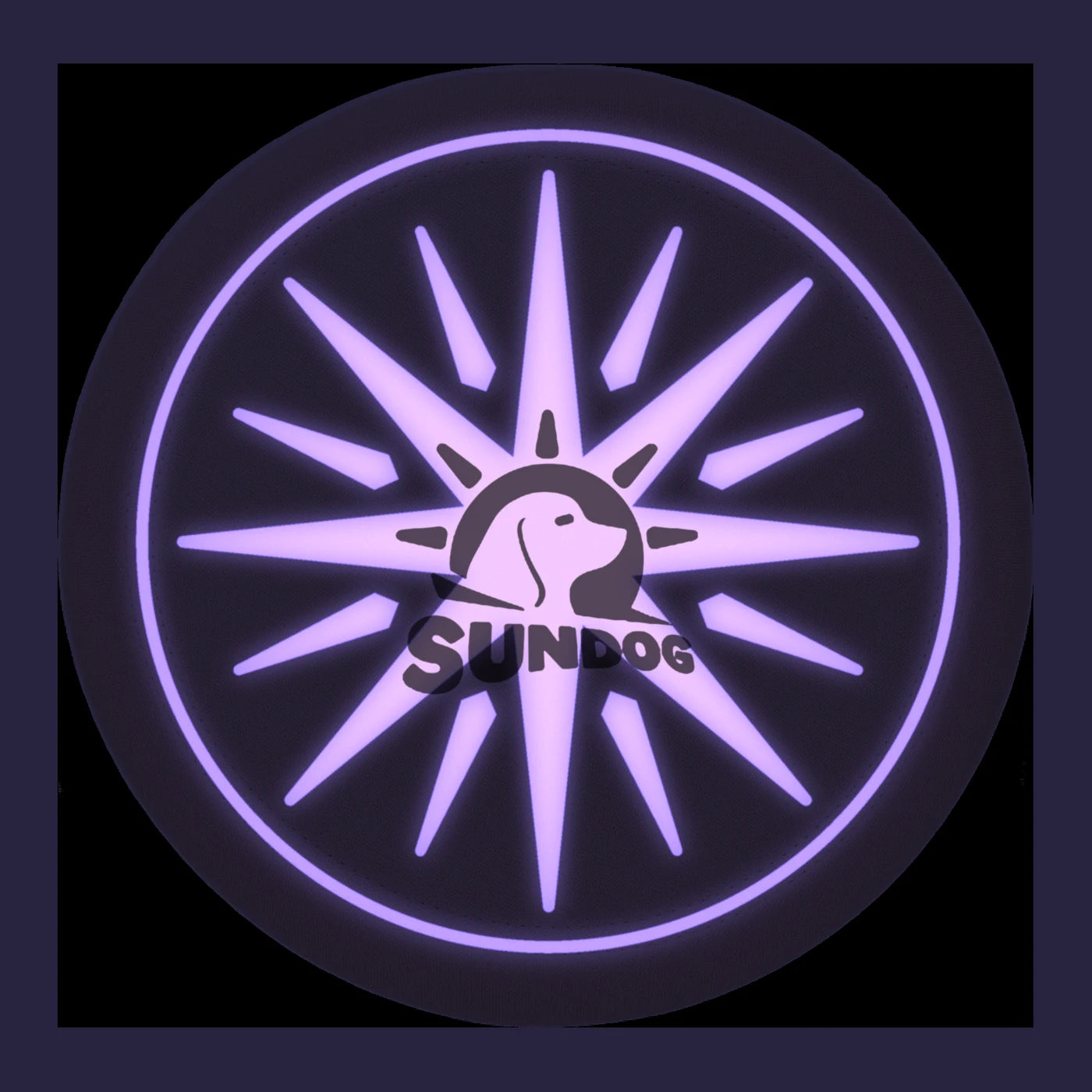 The GHOSTCATCHER UV star pattern glowing lavender around the logo, simulated dog's-eye view